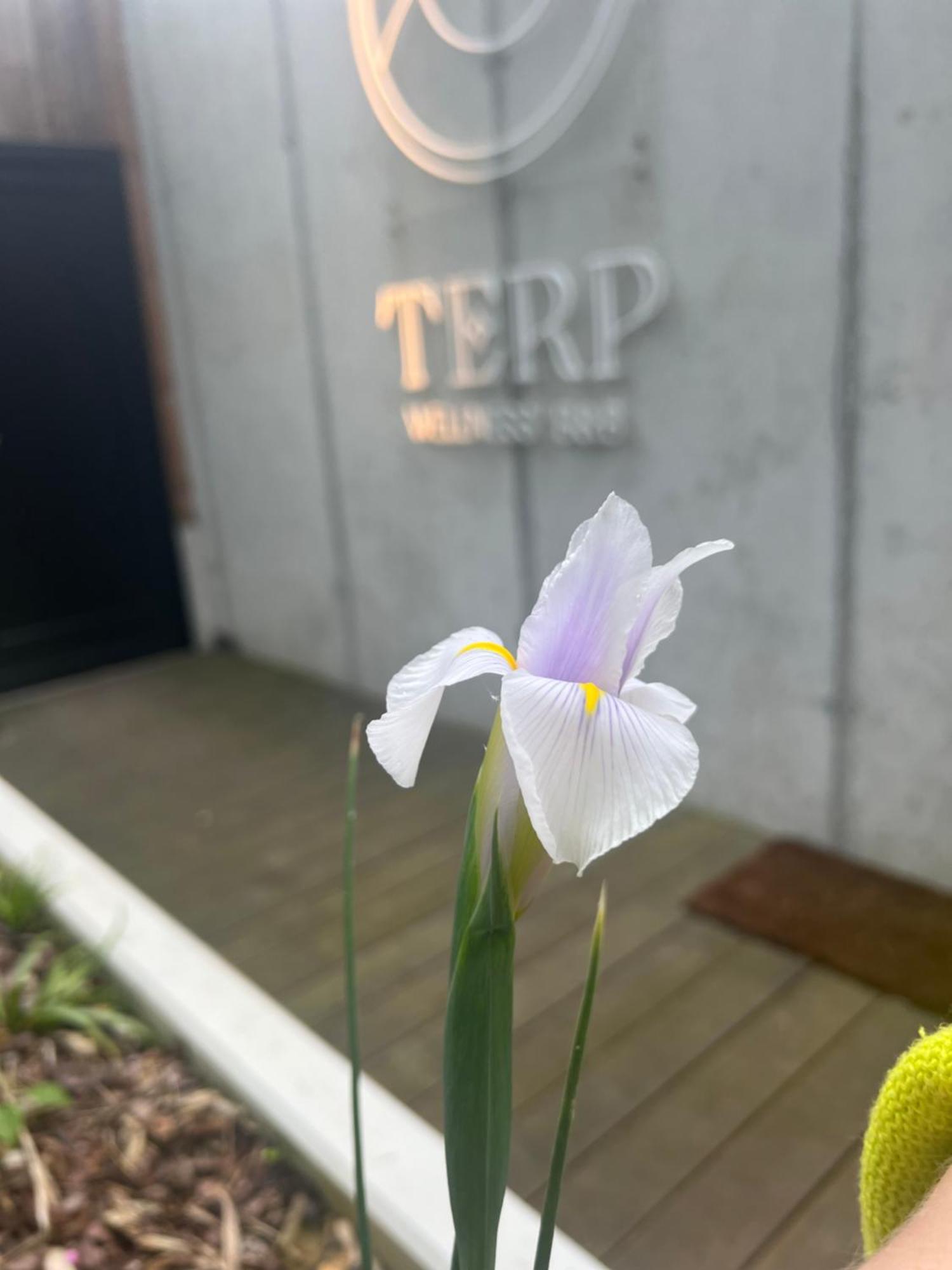 Terp Bed & Breakfast Poperinge Bagian luar foto