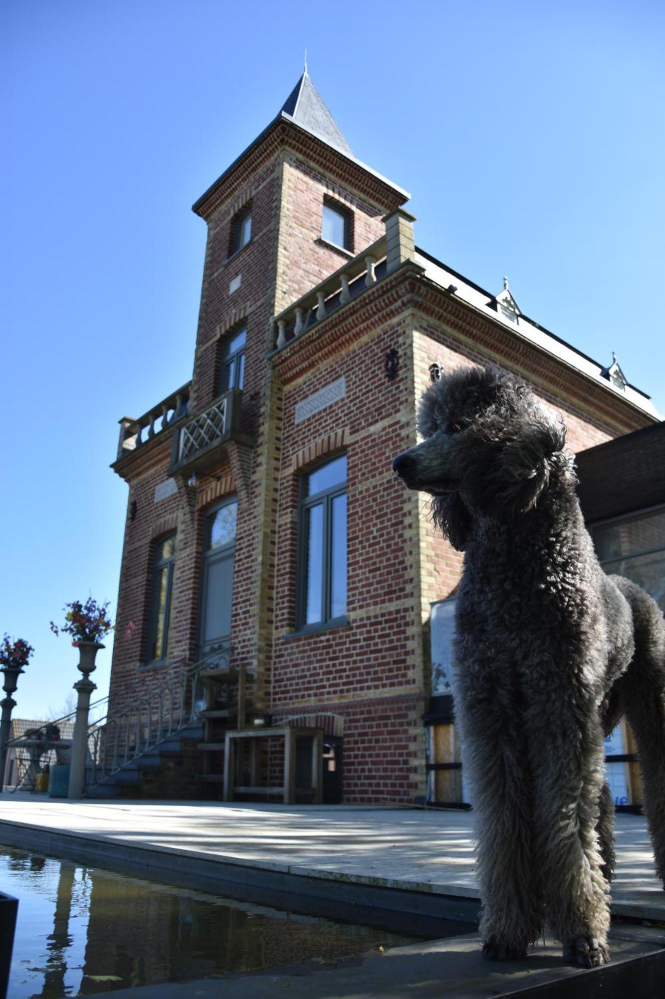 Terp Bed & Breakfast Poperinge Bagian luar foto