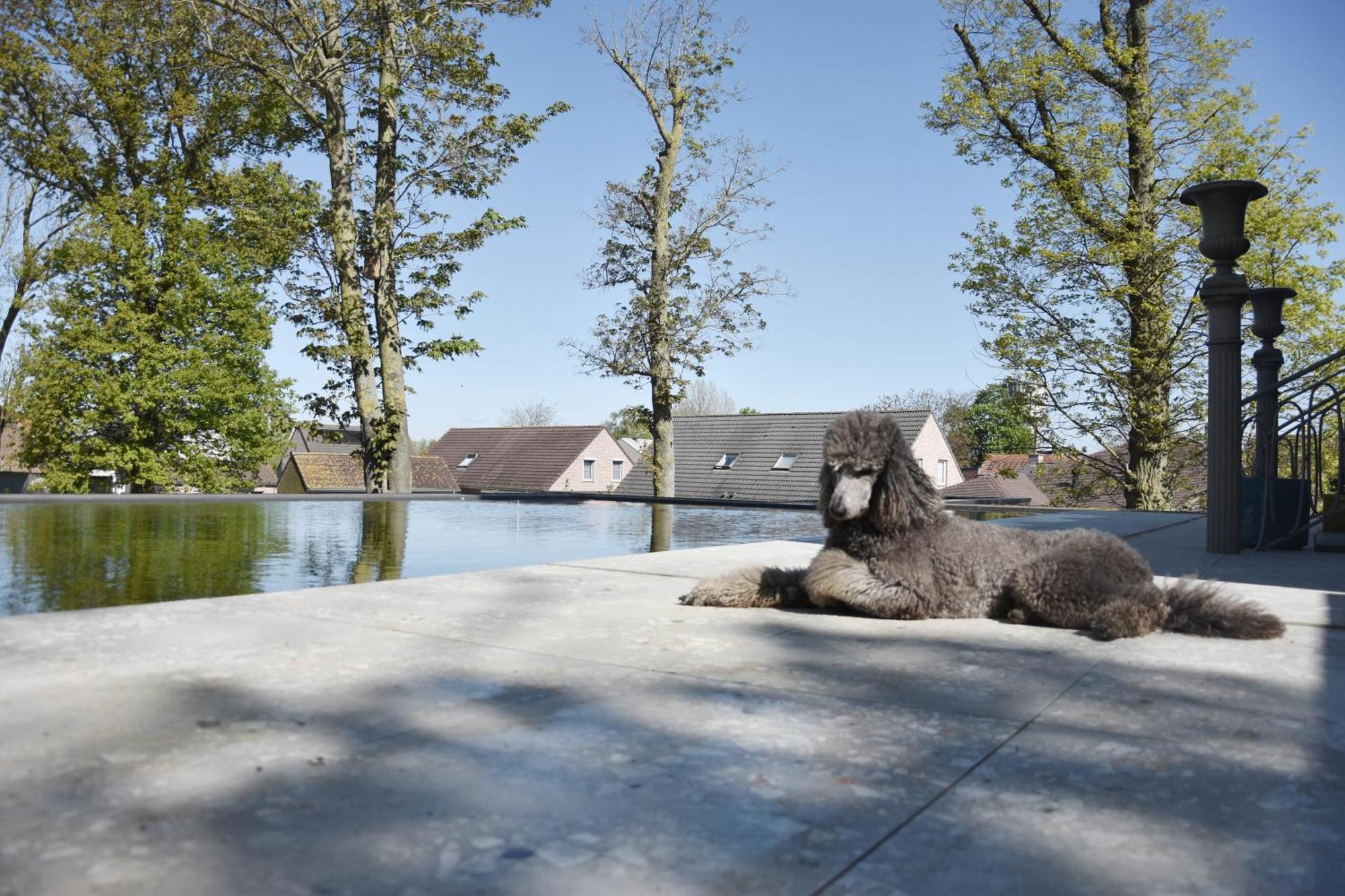 Terp Bed & Breakfast Poperinge Bagian luar foto